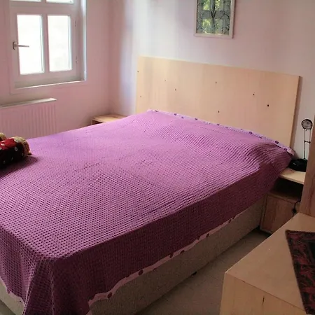 Newly-renovated 2