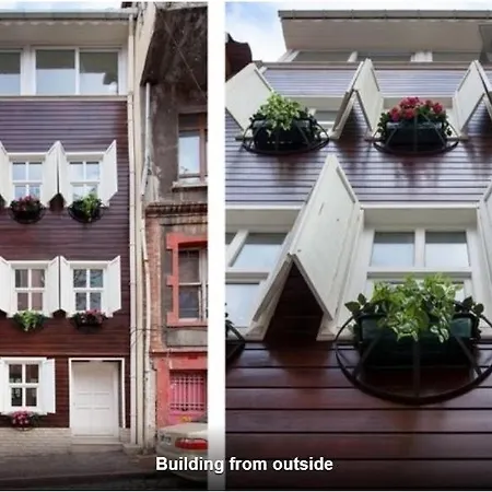 Newly-renovated 2 Apartment